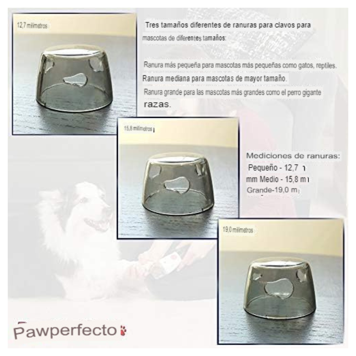 🐾"Corta y Lima las Uñas de Tu Mascota Sin Estrés: ¡Herramienta 2 en 1 con Envío Gratis!"🐕